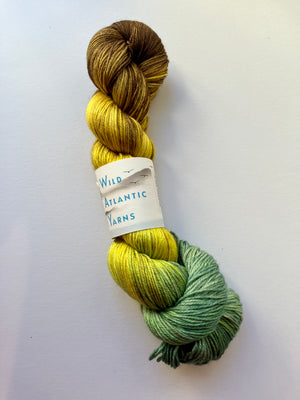 Wild Atlantic Yarns - Variegated Niamh 4 PLY Yarn